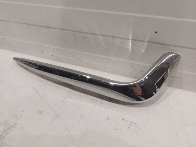 Fog Lamp Applique (Right)